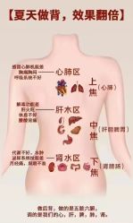 -丽减美瘦吧·减肥瘦身