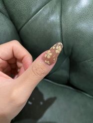 -杨红水晶延长美甲美睫