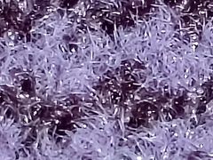 -清新一盅正宗清远鸡(环城路店)