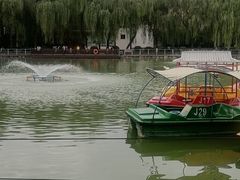 -莲湖公园