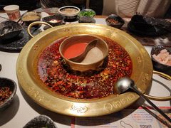 美蛙火锅-哥老官重庆美蛙鱼头(宝山龙湖店)