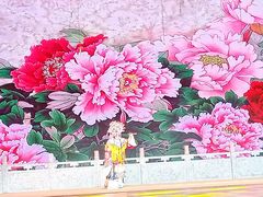 -新清华学堂