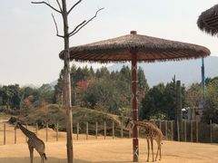 -杭州野生动物世界