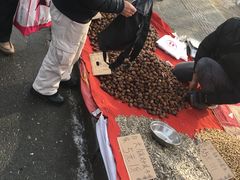 -蒲河大集
