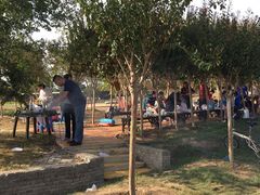 -武汉紫薇都市田园