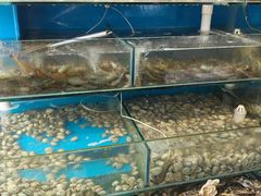 -仙螺岛海鲜自助餐厅(总店)