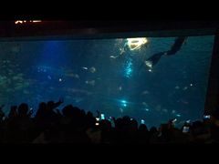 -福州罗源湾海洋世界旅游区