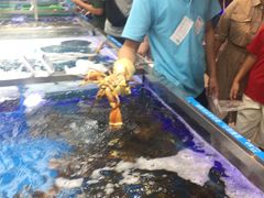 -盒马鲜生(大成店)