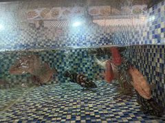 -顺德了能馆(虎门店)