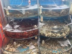 -仙螺岛海鲜自助餐厅(总店)