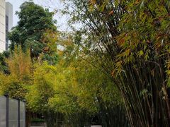-晓港公园