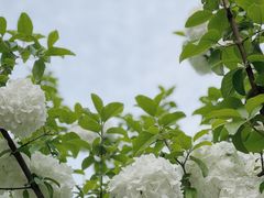 -孝子祠公园