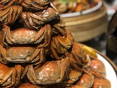 -五月罗马海鲜自助餐厅(陆家嘴店)