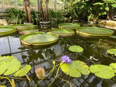 -国家植物园南园