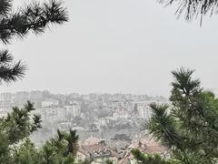 -信号山公园