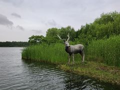 -溱湖国家湿地公园