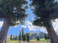 -新疆那拉提国家旅游度假区