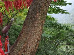 -辋川溶洞