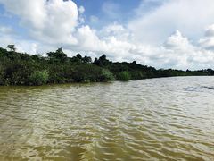 -东寨港红树林旅游区