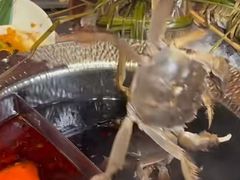 -牛YO寿喜烧和牛火锅自助(三台子万象汇店)