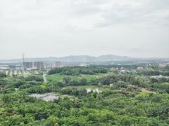 -美的鹭湖森林度假区
