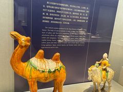 -镇江博物馆