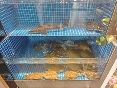 -涿派·炝锅鱼(涿州店)