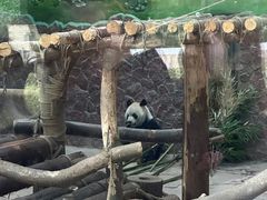 -黔灵山公园