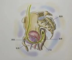 点击看大图 -昕孕瑜伽·孕妇瑜伽·产后修复