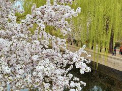 -元大都城垣遗址公园