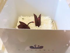 -BLACKSWAN黑天鹅(环球店)