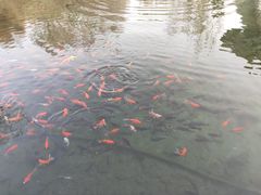-水磨沟公园