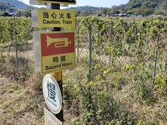 -红山村