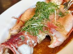 清蒸东星斑-宝丽轩中餐厅BAOLIXUAN