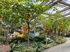 -南宫五洲植物乐园