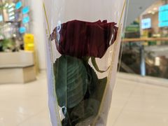 -东中街(地铁站)