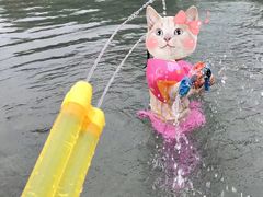 -柳浪游泳场