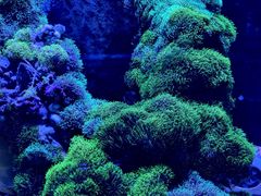 -海合安武汉极地海洋公园