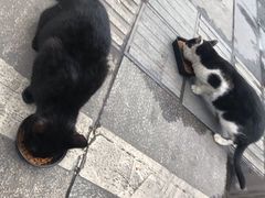 -贵州沾水米线(学田湾店)