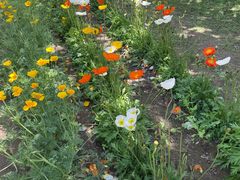 -国家植物园南园