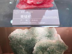 -中国地质博物馆