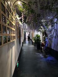 -盘子女人坊生日照·摄影馆(华强店)