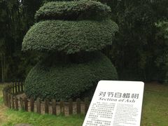 -苏州河梦清园环保主题公园