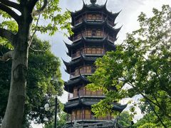 -红梅公园