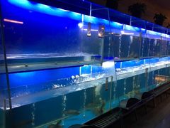 -王家渡火锅店(亦庄店)