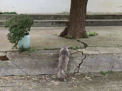 -北寺塔