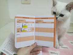 -关爱宠物医院·猫科中心·消化科(滨湖万达分院)