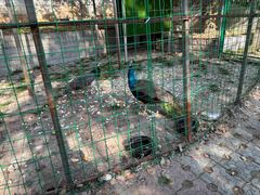 -陶祖圣境风景区