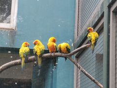 -无锡动物园·太湖欢乐园