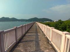 -大澳